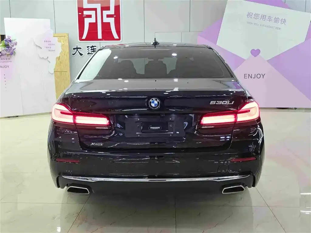 BMW 5 Series 2021 из CN, фото 9