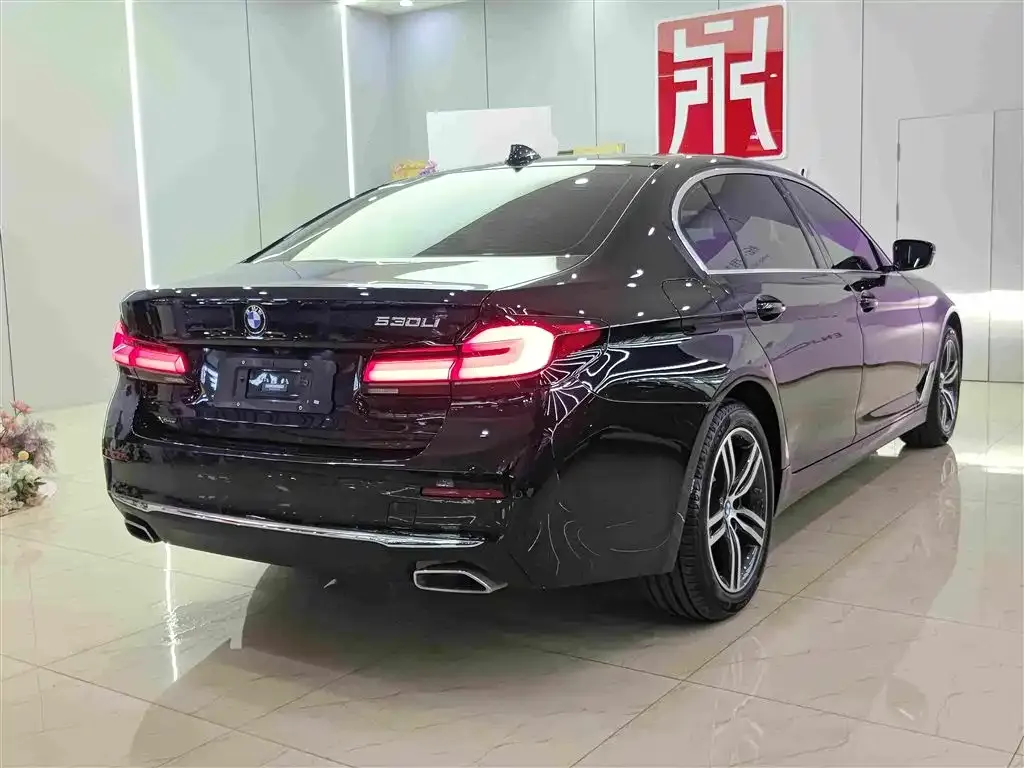 BMW 5 Series 2021 из CN, фото 3