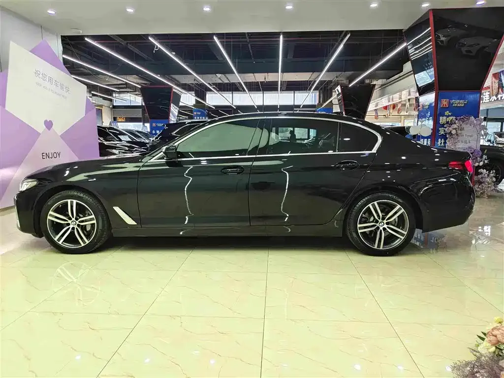 BMW 5 Series 2021 из CN, фото 6