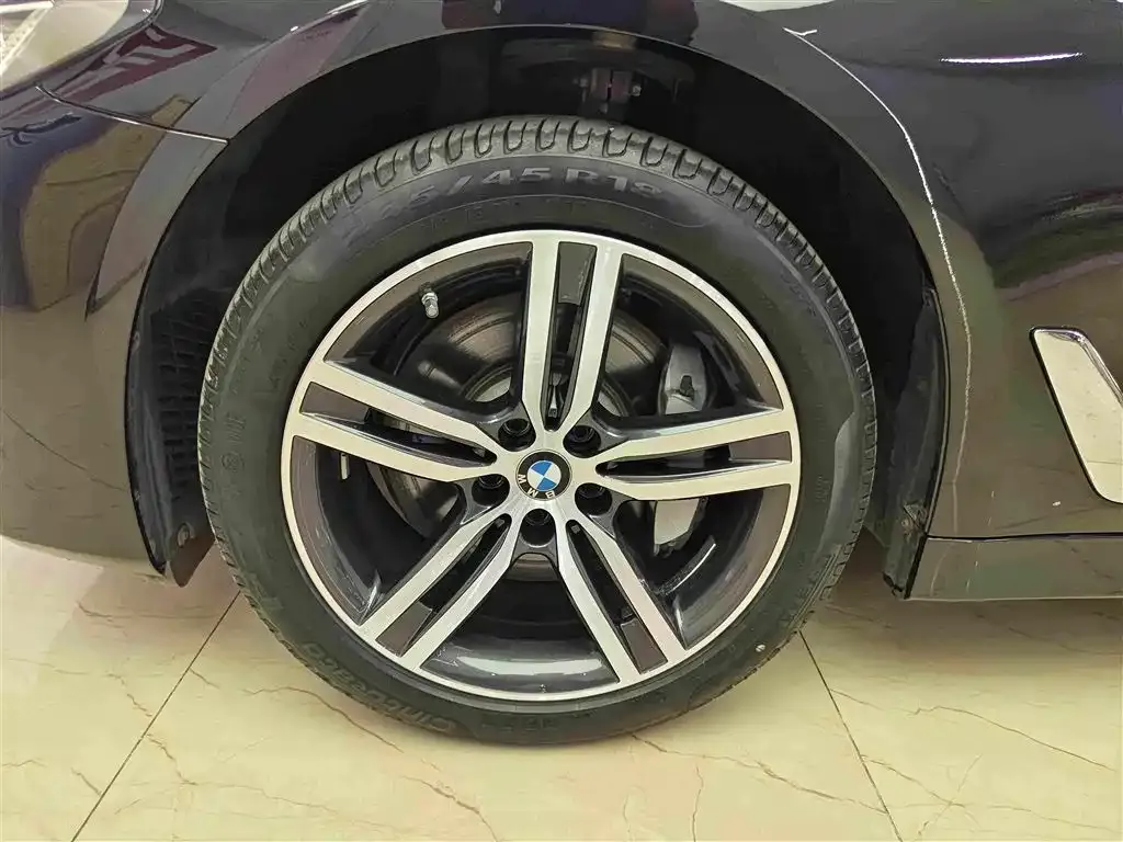 BMW 5 Series 2021 из CN, фото 4