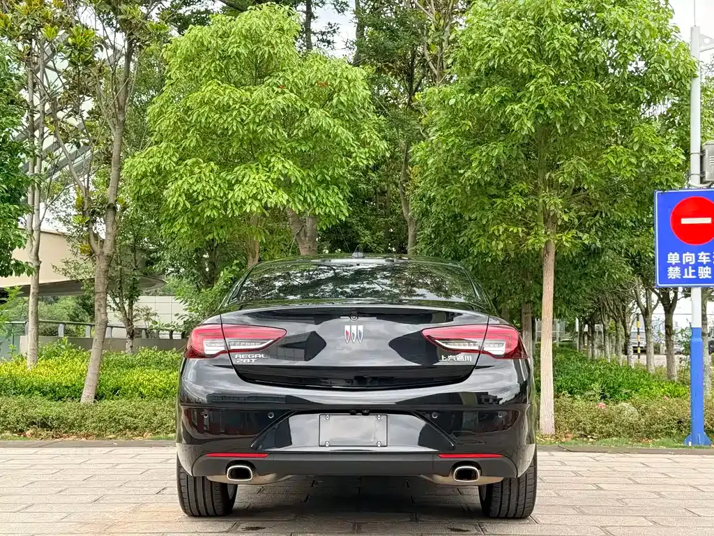Buick Regal — фото 10
