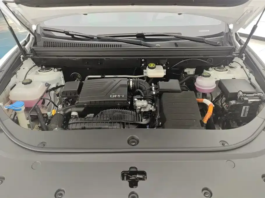 BYD Pro New Energy — фото 4
