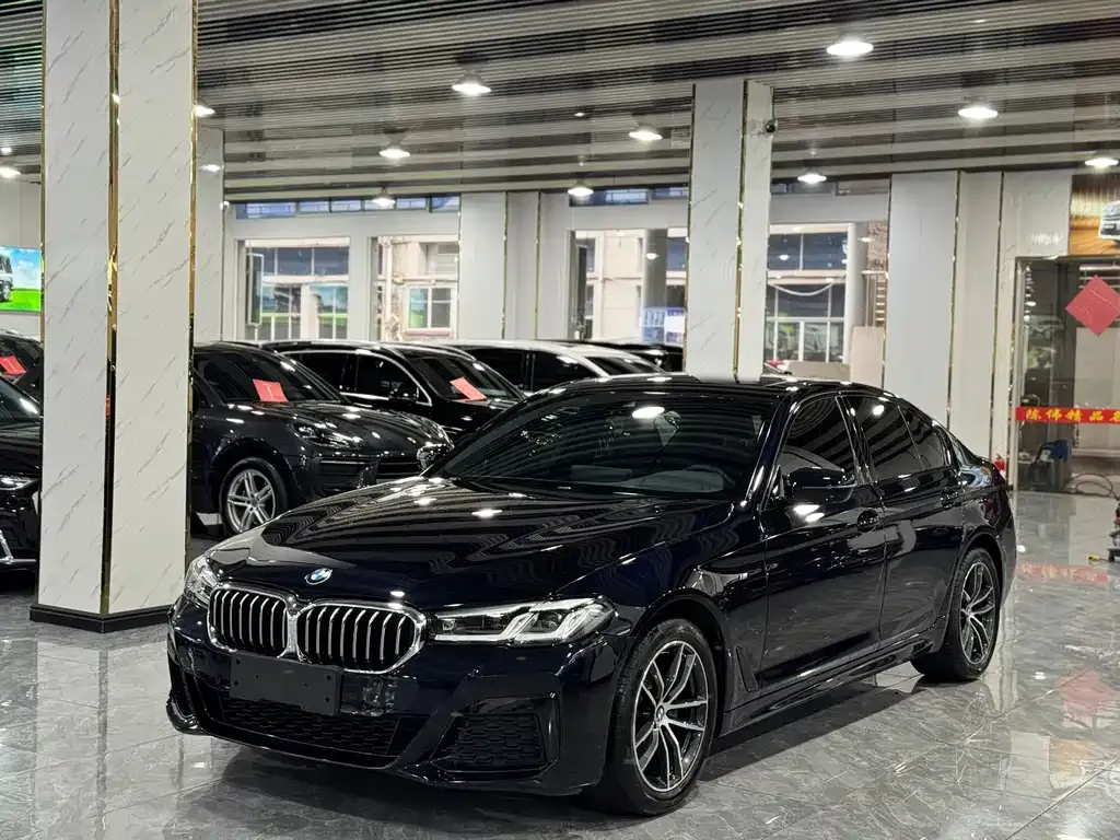 BMW 5 Series (Import)