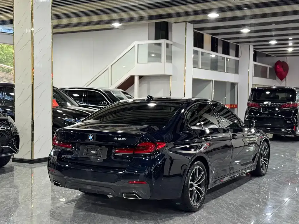 BMW 5 Series (Import) 2022 из CN, фото 8