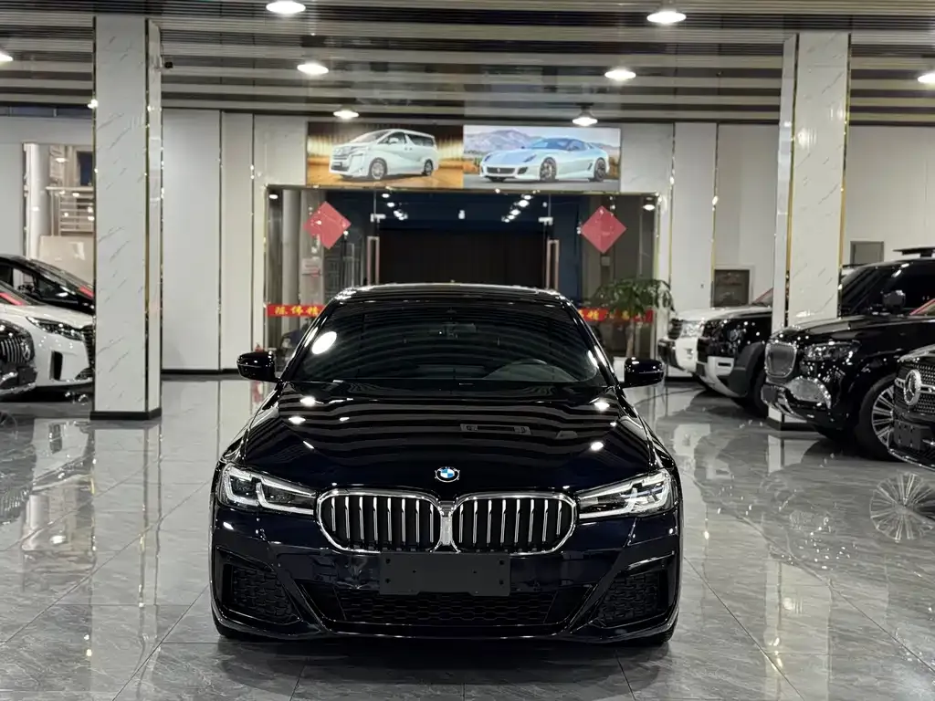 BMW 5 Series (Import) 2022 из CN, фото 6