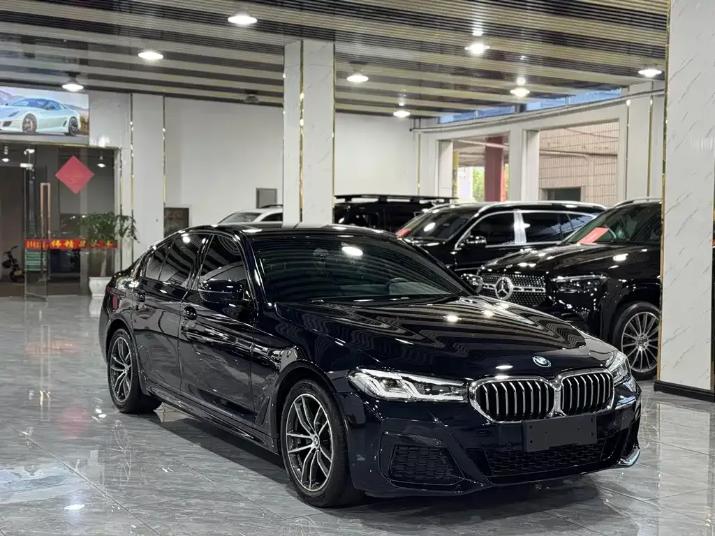 BMW 5 Series (Import) 2022 из CN, фото 7