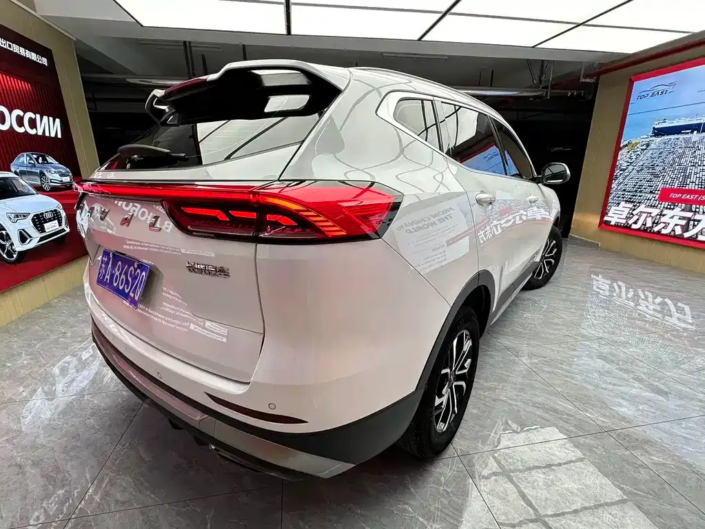Haval H6 2022 из CN, фото 10