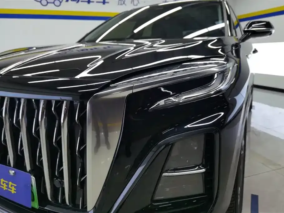 Hongqi HS3 PHEV 2024 из CN, фото 6