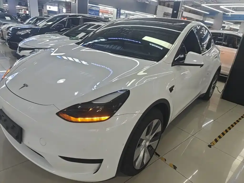 Tesla Model Y — фото 8