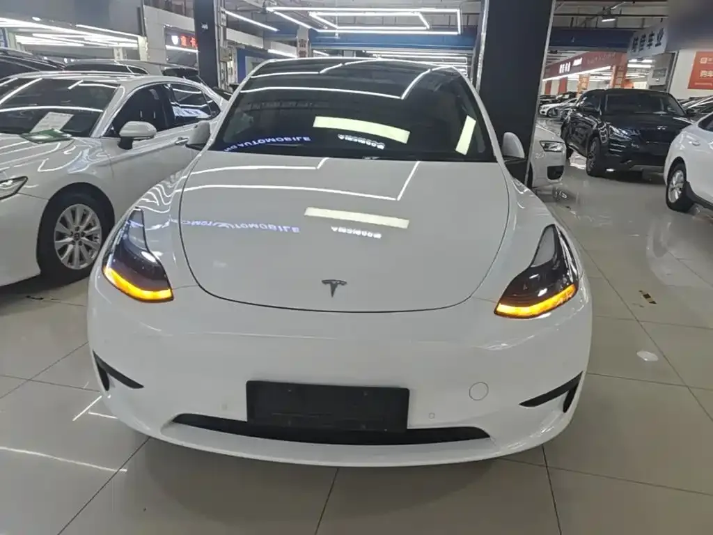 Tesla Model Y — фото 6