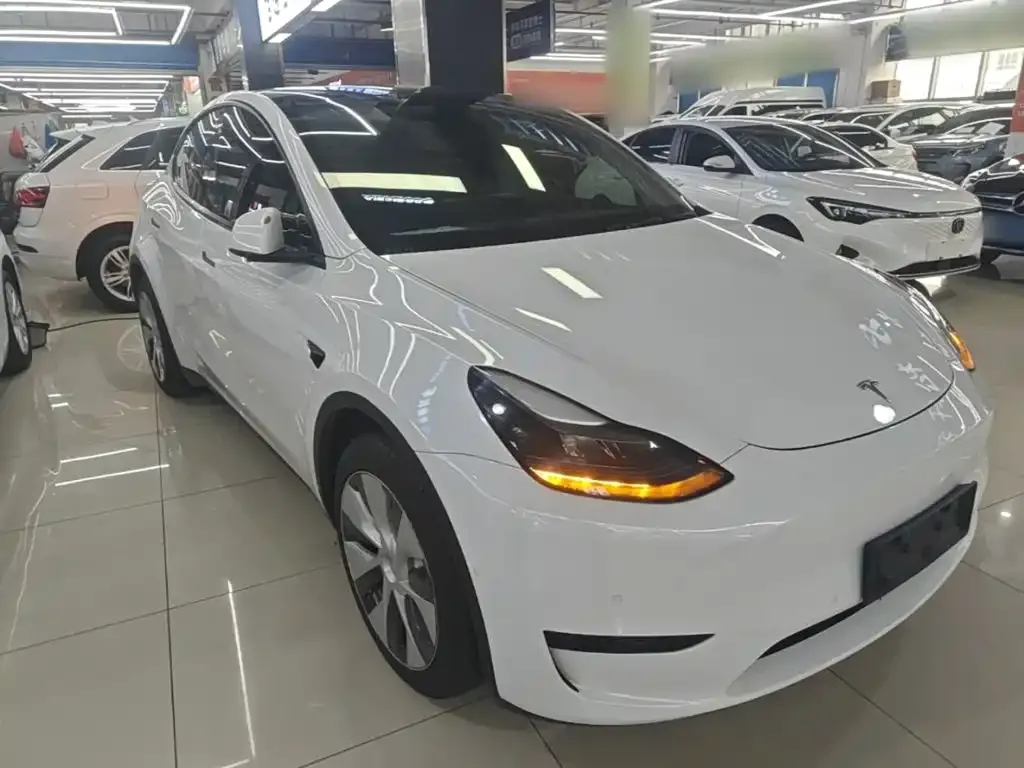 Tesla Model Y — фото 9