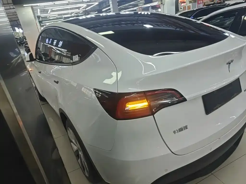 Tesla Model Y — фото 10