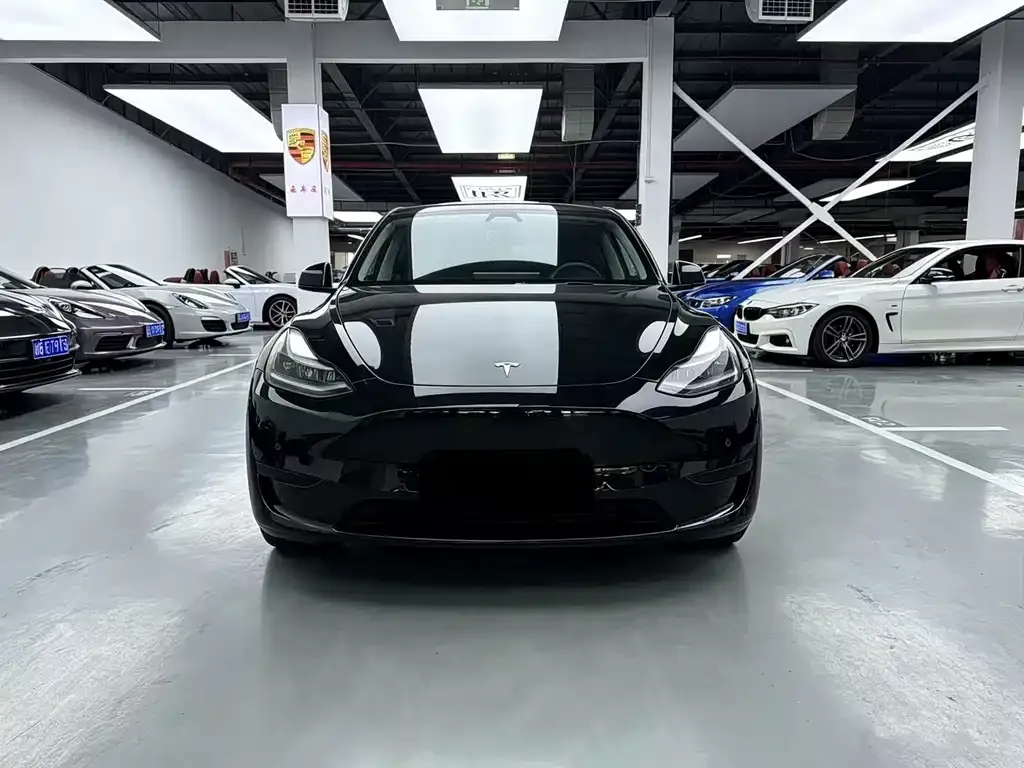 Tesla Model Y — фото 8