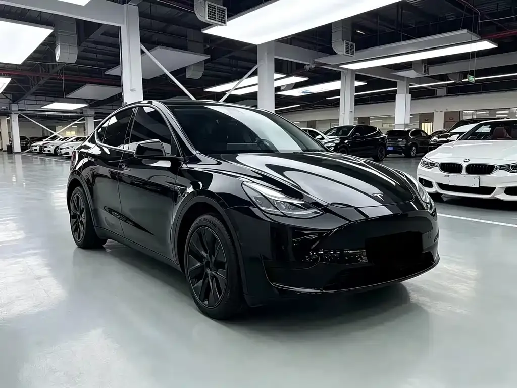 Tesla Model Y — фото 9