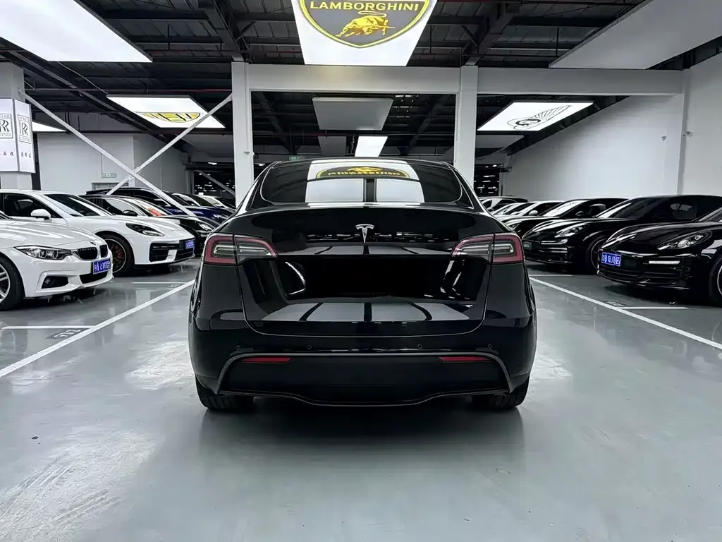 Tesla Model Y — фото 6