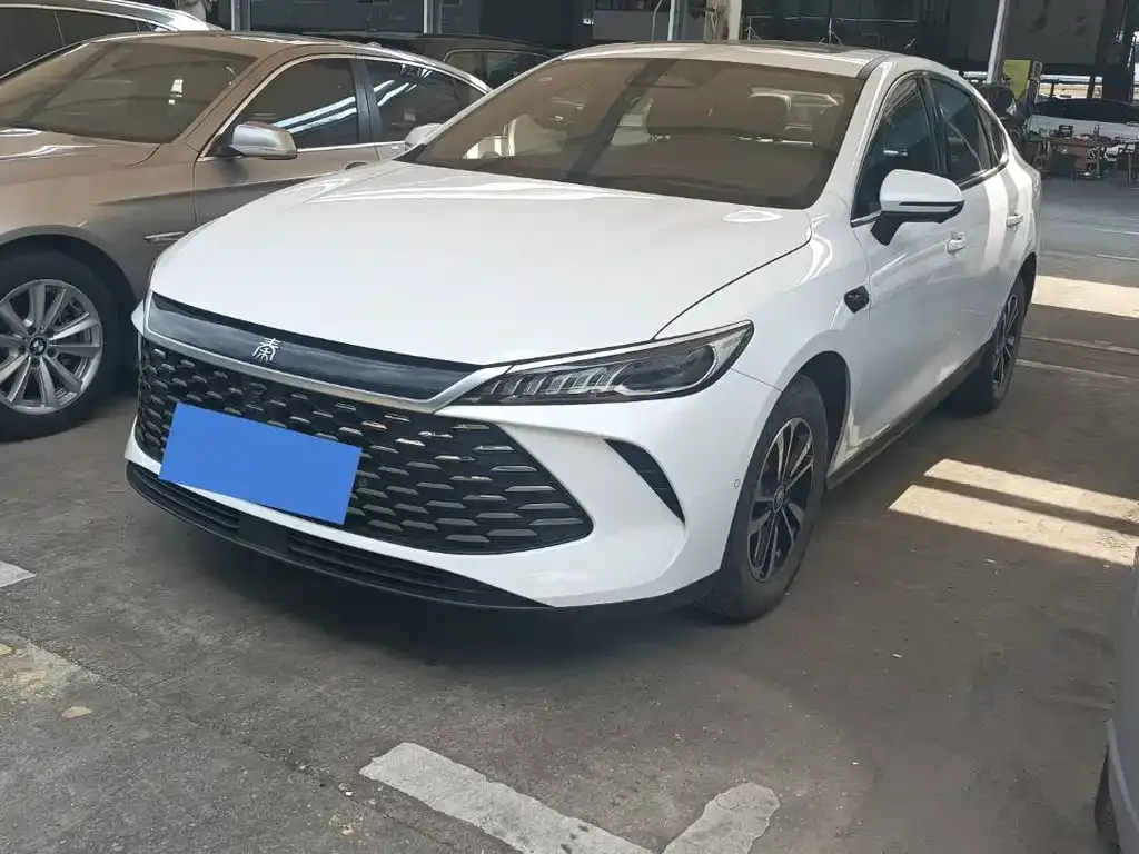 BYD Qin PLUS — фото 1