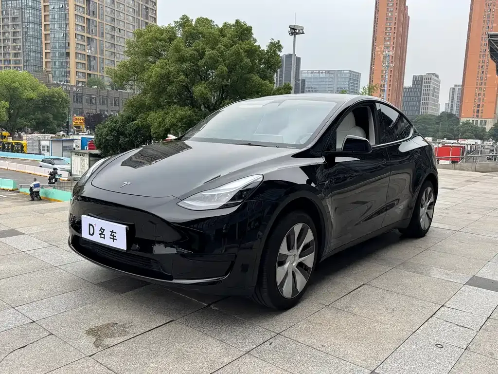 Tesla Model Y — фото 1
