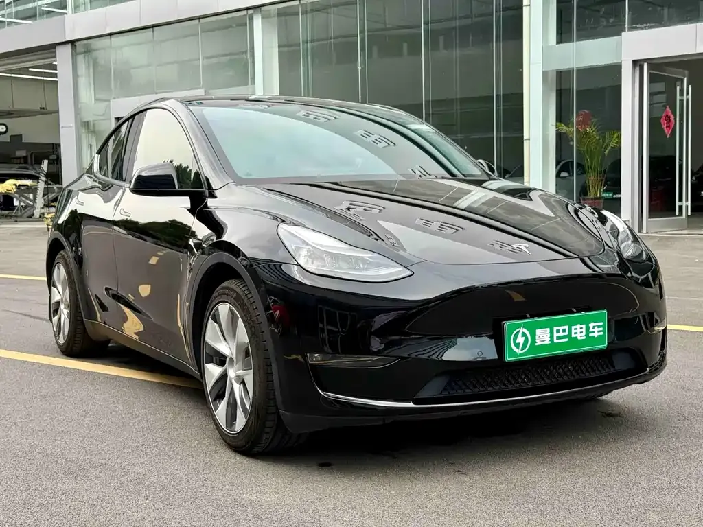 Tesla Model Y — фото 2