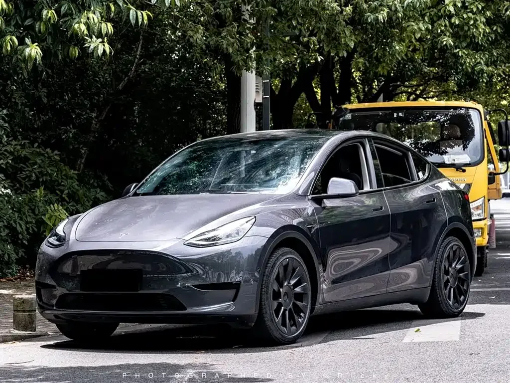 Tesla Model Y — фото 1