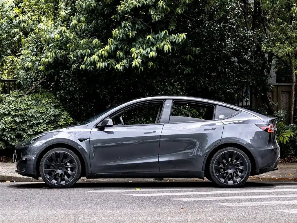 Tesla Model Y — фото 10