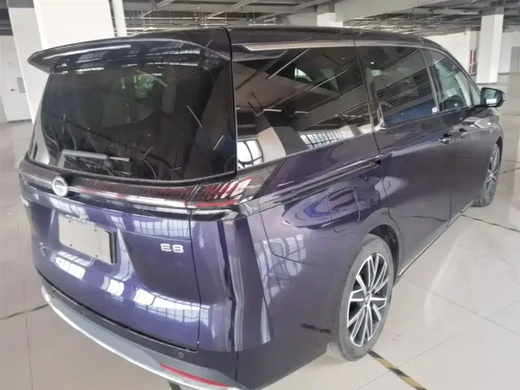 GAC Motor 传祺E8 PHEV 2024 из CN, фото 10