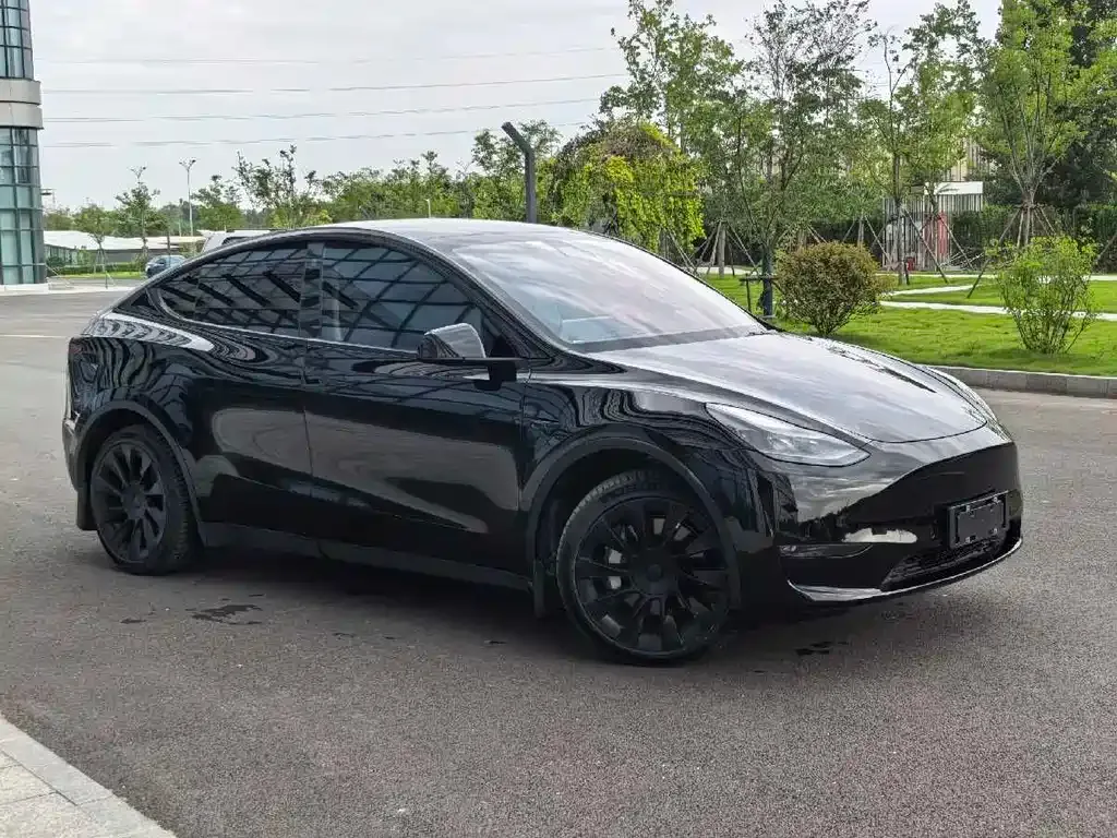 Tesla Model Y — фото 3