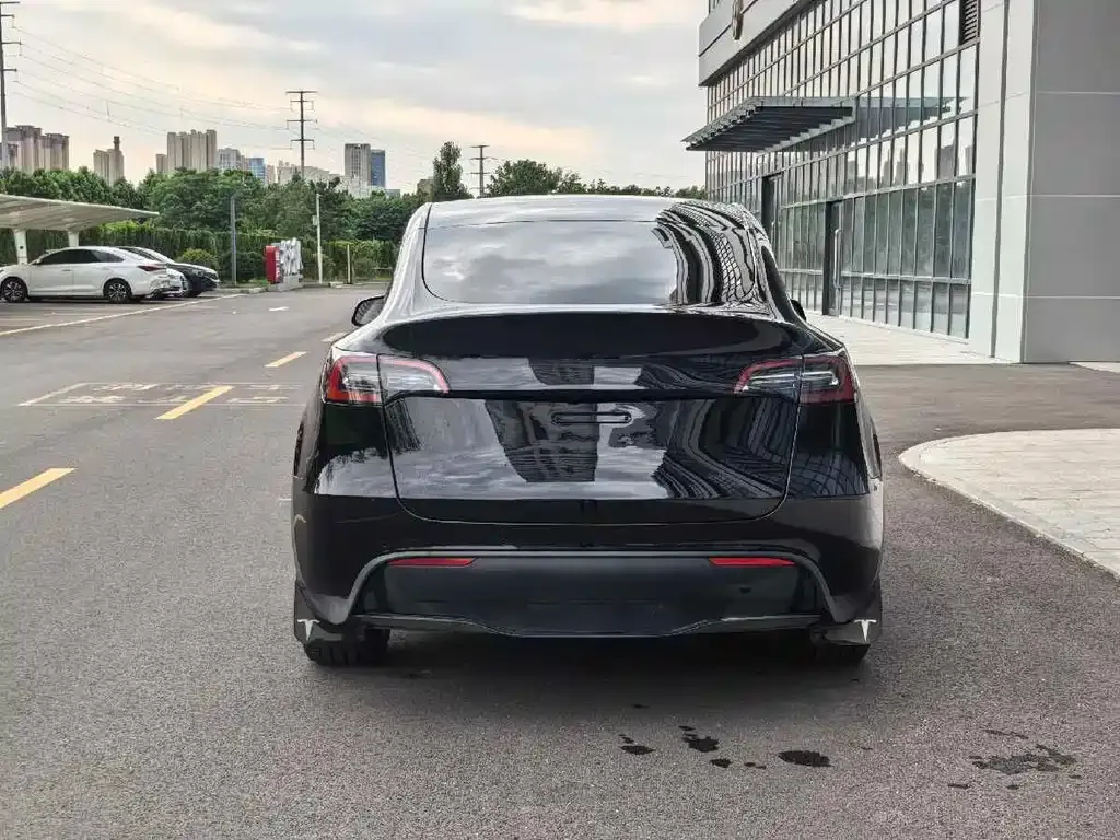 Tesla Model Y — фото 10