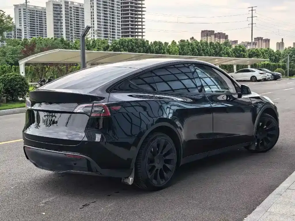 Tesla Model Y — фото 6