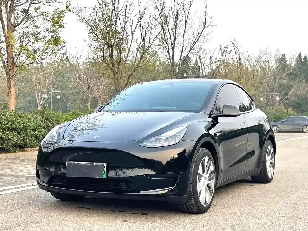 Tesla Model Y — фото 1