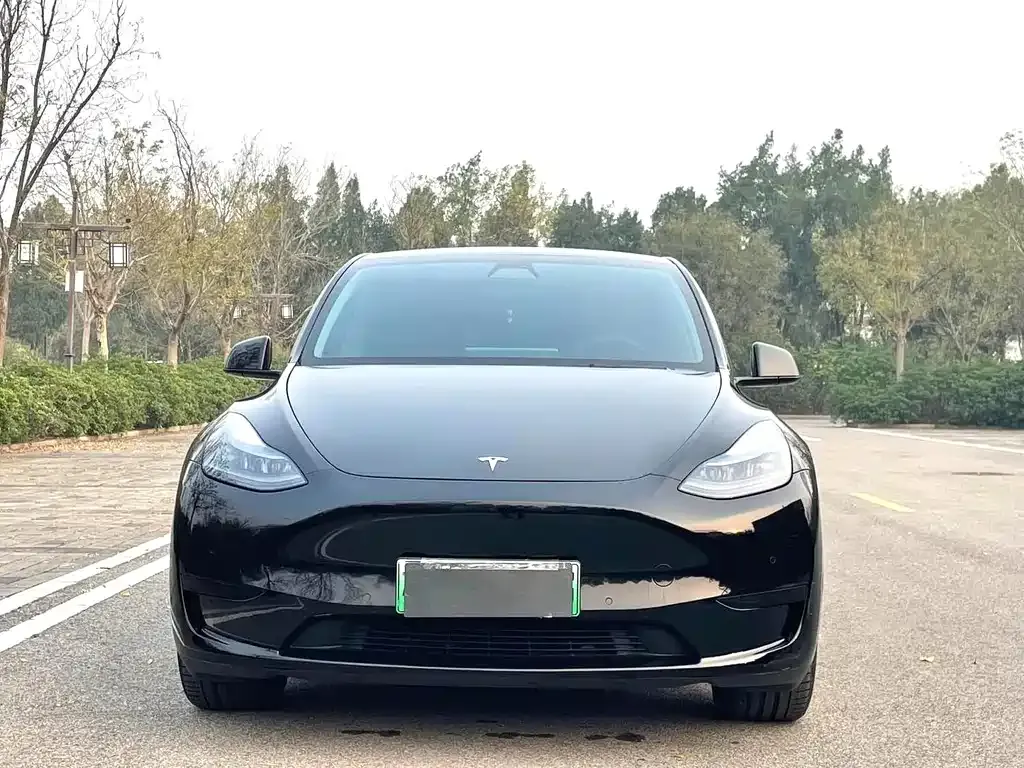 Tesla Model Y — фото 3