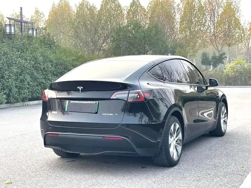 Tesla Model Y — фото 8