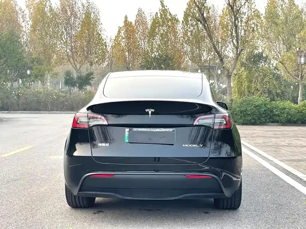 Tesla Model Y — фото 9
