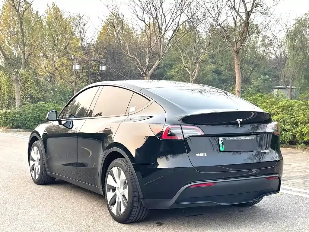 Tesla Model Y — фото 5