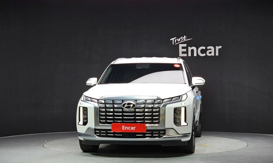 Hyundai Palisade — фото 8
