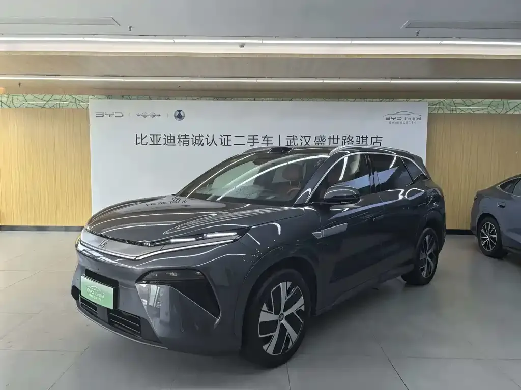 BYD Tang L — фото 1