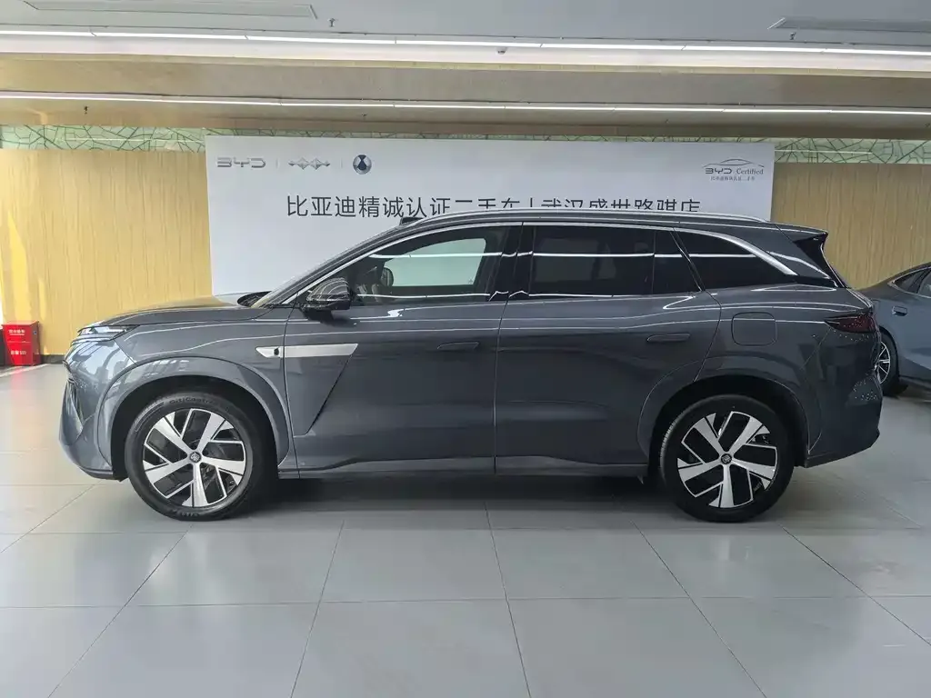 BYD Tang L — фото 4