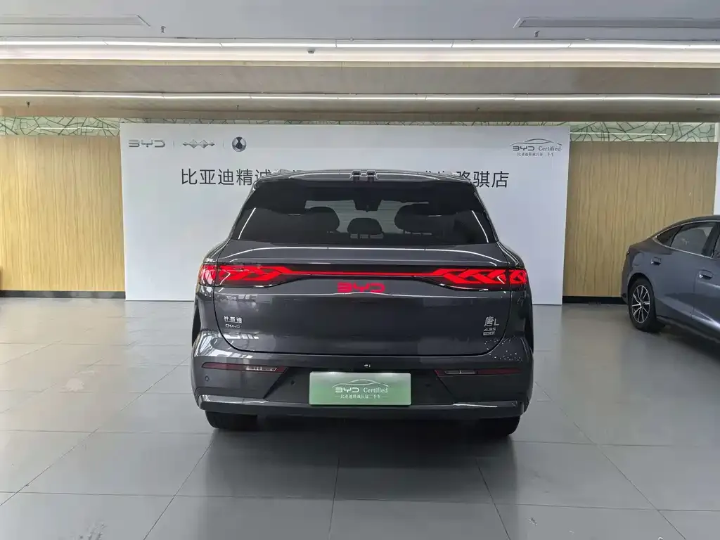 BYD Tang L — фото 2