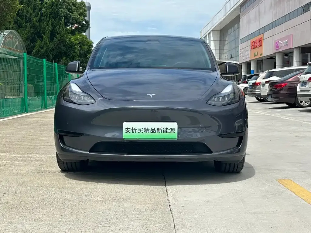 Tesla Model Y — фото 6