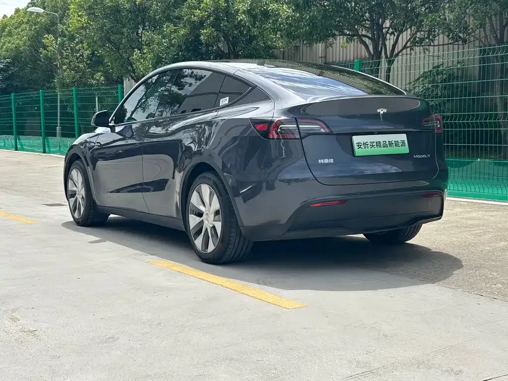 Tesla Model Y — фото 8