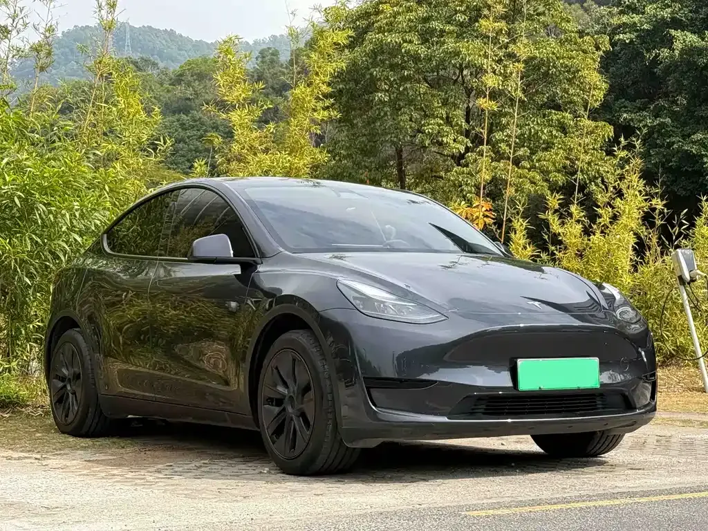 Tesla Model Y — фото 10
