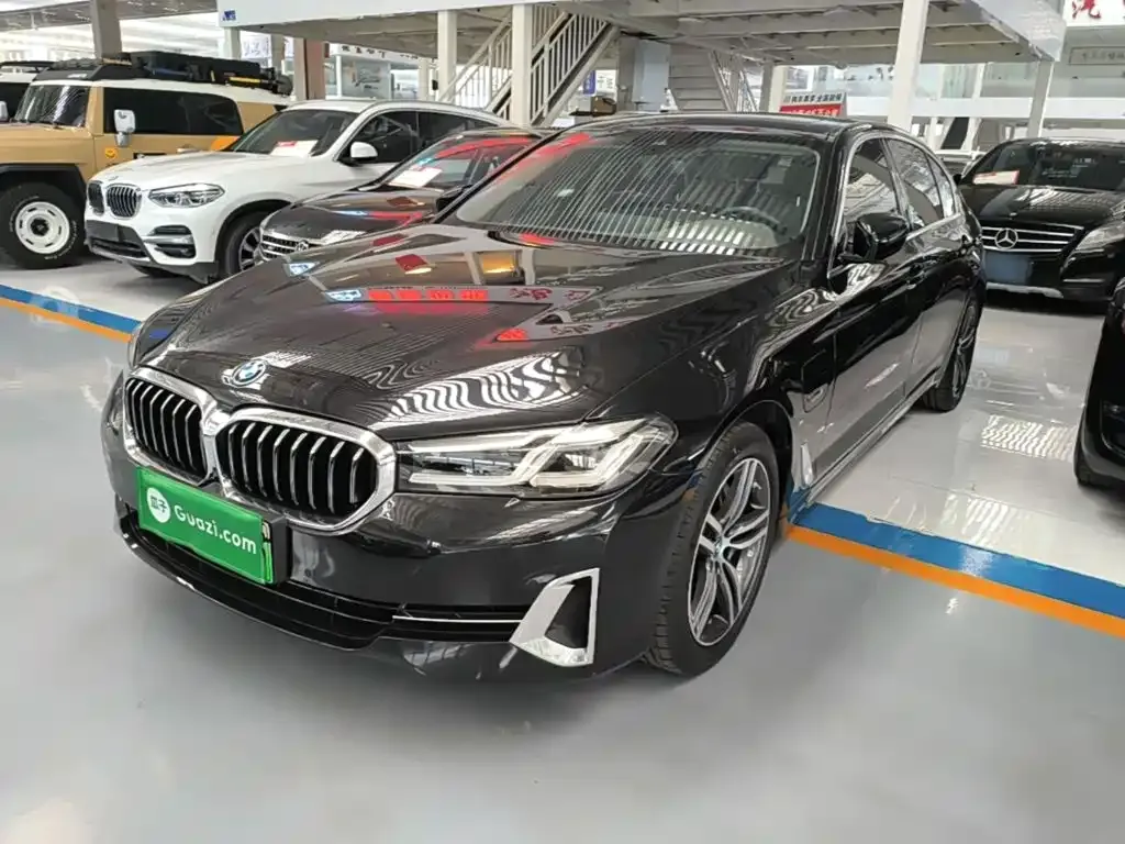 BMW 5 Series New Energy 2022 из CN, фото 7