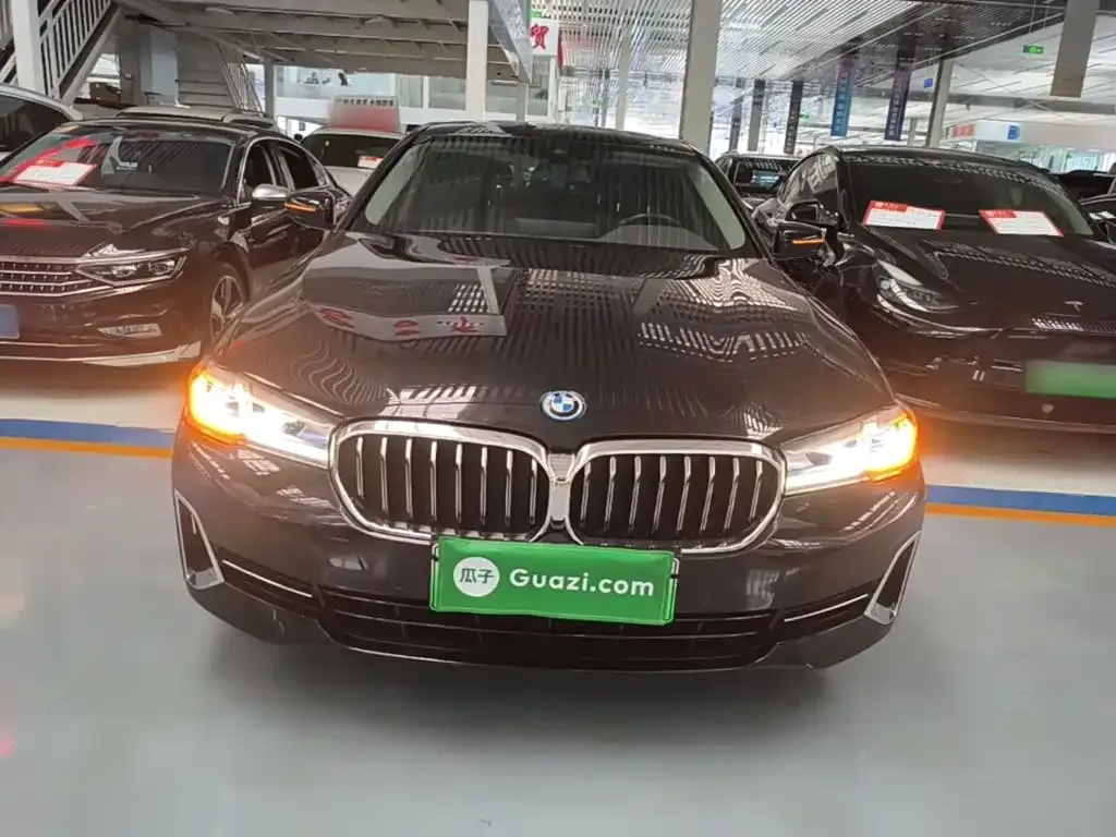 BMW 5 Series New Energy 2022 из CN, фото 4