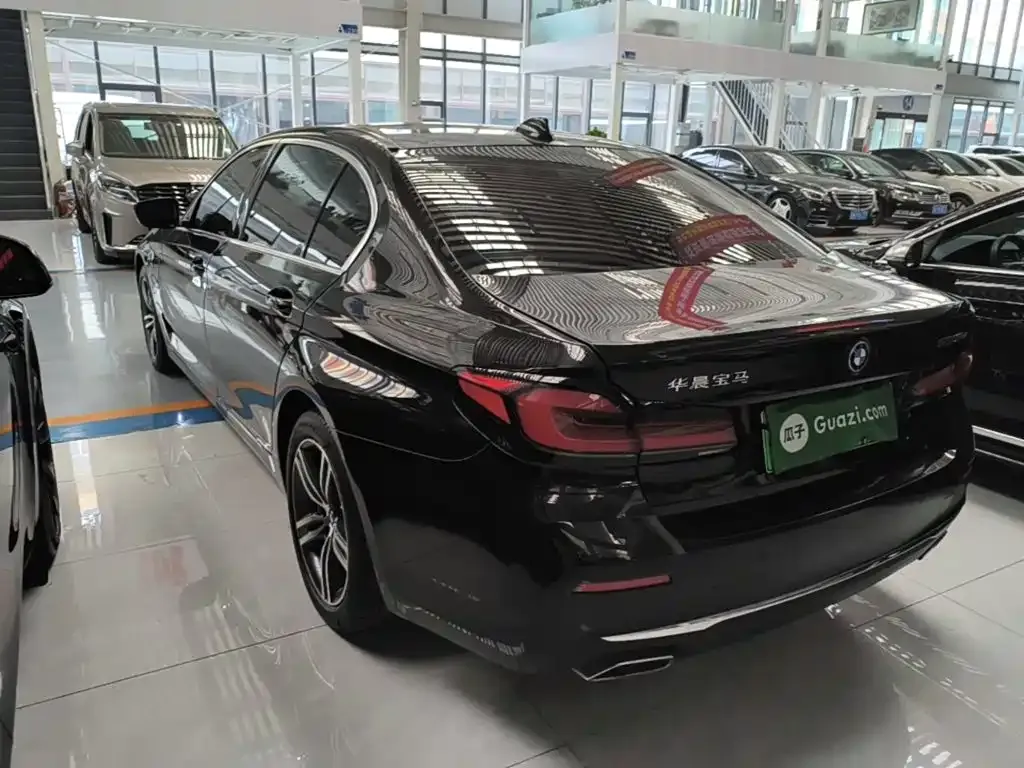 BMW 5 Series New Energy 2022 из CN, фото 9