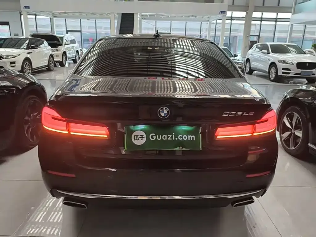 BMW 5 Series New Energy 2022 из CN, фото 2