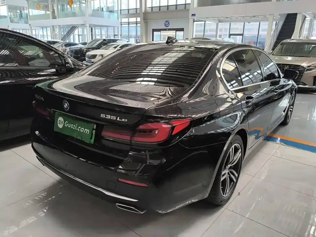 BMW 5 Series New Energy 2022 из CN, фото 6
