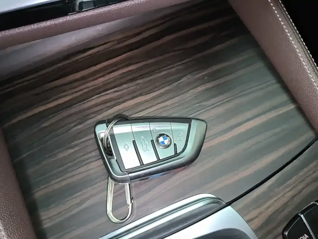 BMW 5 Series New Energy 2022 из CN, фото 10