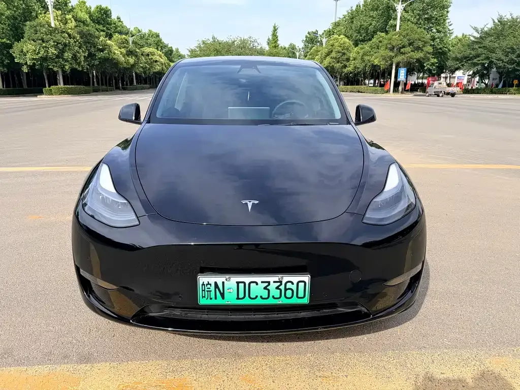 Tesla Model Y — фото 8