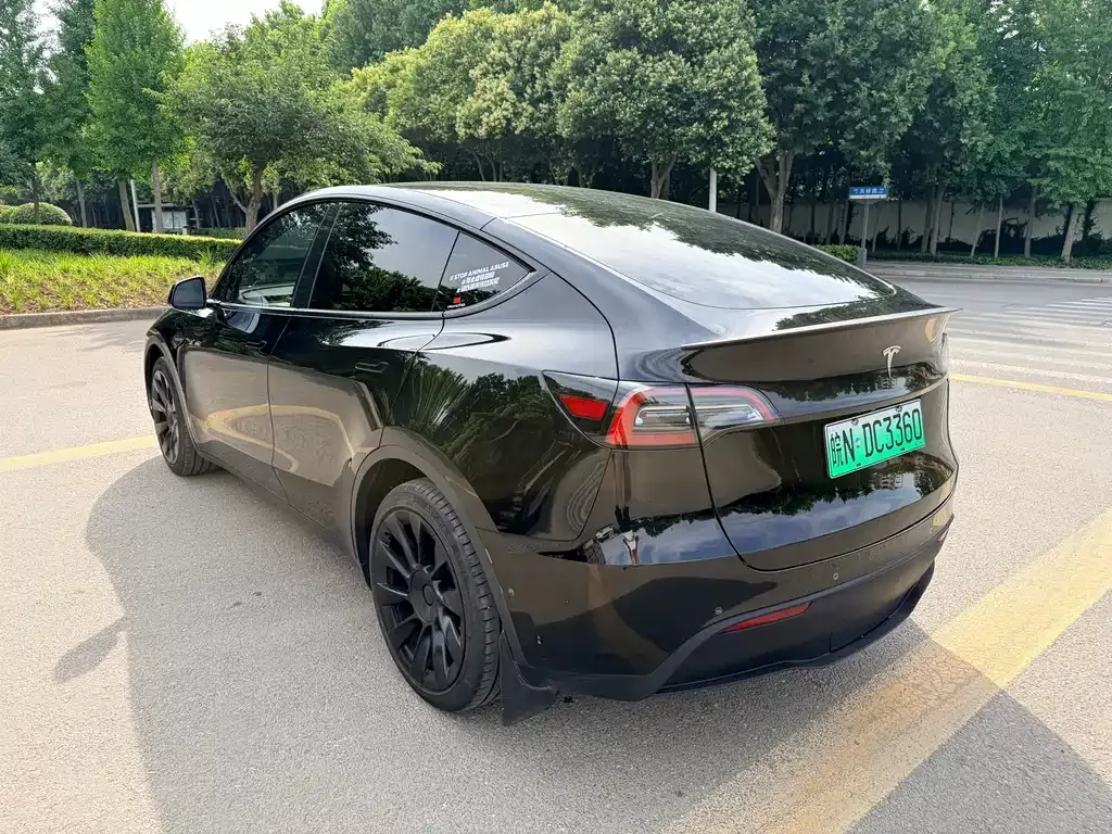 Tesla Model Y — фото 5