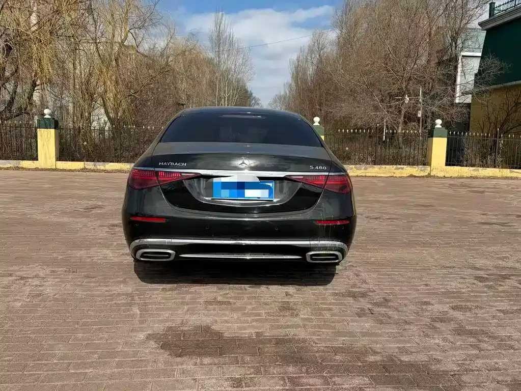 Mercedes-Benz S-Class 2021 из CN, фото 8