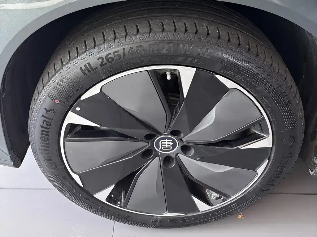 BYD Tang L 2025 из CN, фото 2